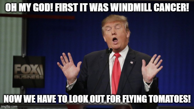 RUN! | OH MY GOD! FIRST IT WAS WINDMILL CANCER! NOW WE HAVE TO LOOK OUT FOR FLYING TOMATOES! | image tagged in donald trump scared | made w/ Imgflip meme maker