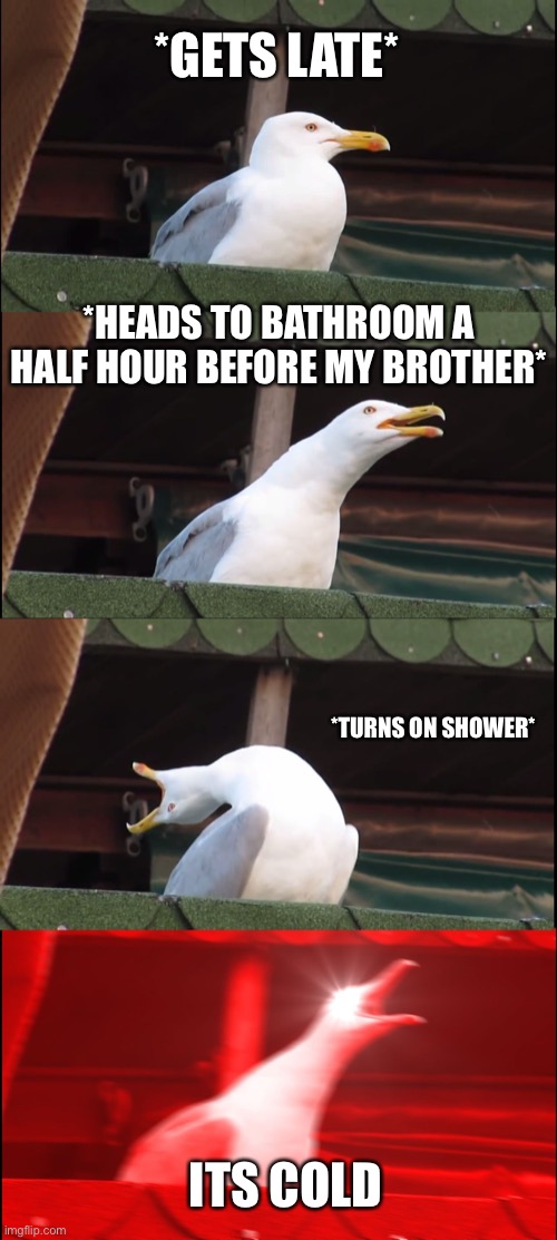 The moment I hop in he’s practically flooded the bathroom | *GETS LATE*; *HEADS TO BATHROOM A HALF HOUR BEFORE MY BROTHER*; *TURNS ON SHOWER*; ITS COLD | image tagged in memes,inhaling seagull,cold shower,brothers | made w/ Imgflip meme maker