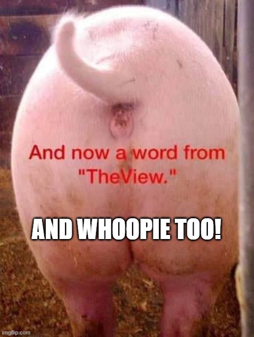 The View | AND WHOOPIE TOO! | image tagged in pig butt | made w/ Imgflip meme maker