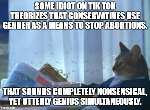 I mean, heck, I almost wish I'd thought of that. I just believed in the sanctity of human life. Who knew? | SOME IDIOT ON TIK TOK THEORIZES THAT CONSERVATIVES USE GENDER AS A MEANS TO STOP ABORTIONS. THAT SOUNDS COMPLETELY NONSENSICAL, YET UTTERLY GENIUS SIMULTANEOUSLY. | image tagged in memes,i should buy a boat cat | made w/ Imgflip meme maker