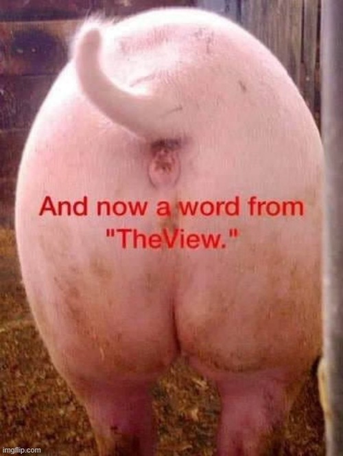 The View | image tagged in pig butt | made w/ Imgflip meme maker