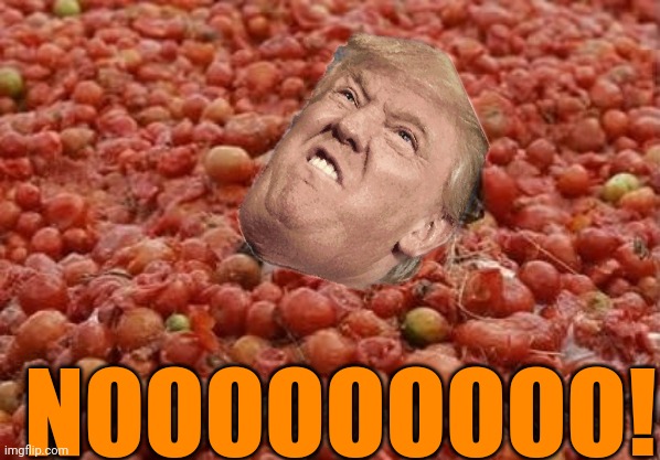 NOOOOOOOOO! | made w/ Imgflip meme maker
