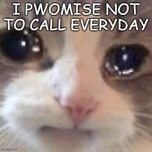 I PWOMISE NOT TO CALL EVERYDAY | made w/ Imgflip meme maker