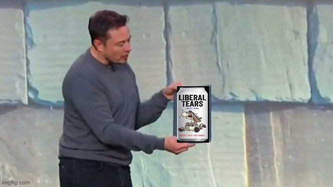 Liberal | image tagged in elon musk,liberal tears,free speach | made w/ Imgflip meme maker