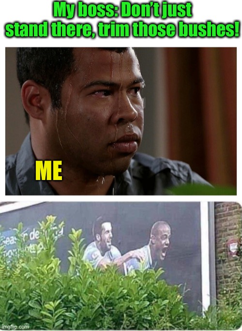 This could get ugly. | My boss: Don’t just stand there, trim those bushes! ME | image tagged in jordan peele sweating,memes,funny,work,you had one job | made w/ Imgflip meme maker