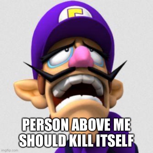 Sad Waluigi | PERSON ABOVE ME SHOULD KILL ITSELF | image tagged in sad waluigi | made w/ Imgflip meme maker