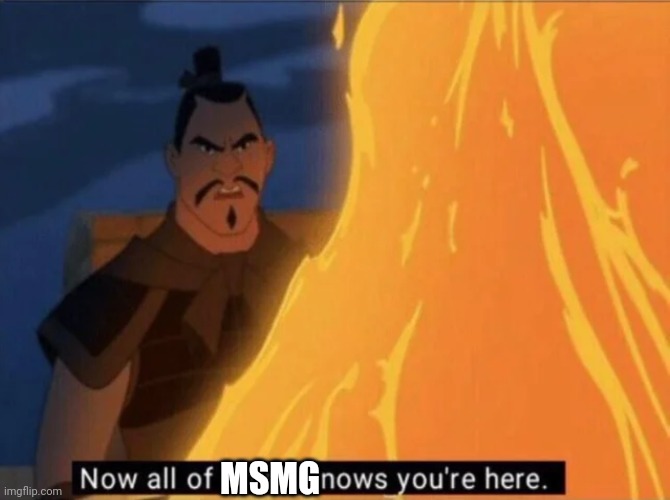 Now all of China knows you're here | MSMG | image tagged in now all of china knows you're here | made w/ Imgflip meme maker