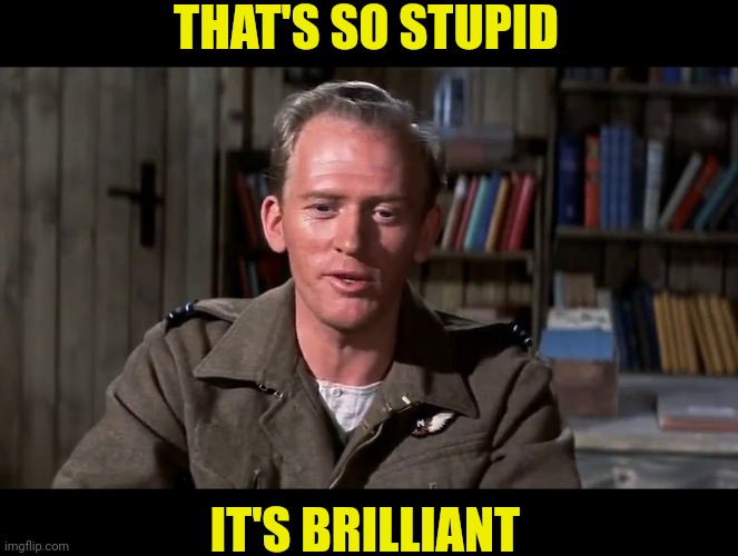 THAT'S SO STUPID IT'S BRILLIANT | made w/ Imgflip meme maker