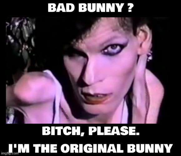 image tagged in bad bunny,marilyn manson,goddess bunny,rock music,sandra crisp,drag queen | made w/ Imgflip meme maker