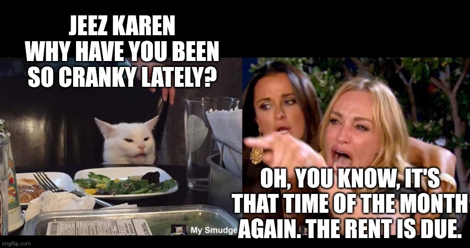 JEEZ KAREN WHY HAVE YOU BEEN SO CRANKY LATELY? OH, YOU KNOW, IT'S THAT TIME OF THE MONTH AGAIN. THE RENT IS DUE. | image tagged in smudge the cat,woman yelling at cat,karen | made w/ Imgflip meme maker