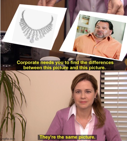 Necklace/Neck less. | image tagged in memes,they're the same picture,comparison,funny | made w/ Imgflip meme maker