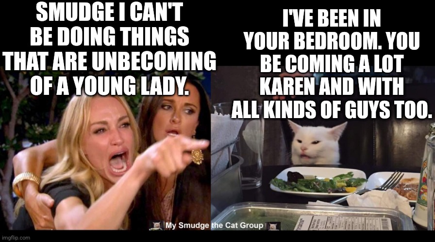  SMUDGE I CAN'T BE DOING THINGS THAT ARE UNBECOMING OF A YOUNG LADY. I'VE BEEN IN YOUR BEDROOM. YOU BE COMING A LOT KAREN AND WITH ALL KINDS OF GUYS TOO. | image tagged in smudge the cat,woman yelling at cat,karen | made w/ Imgflip meme maker