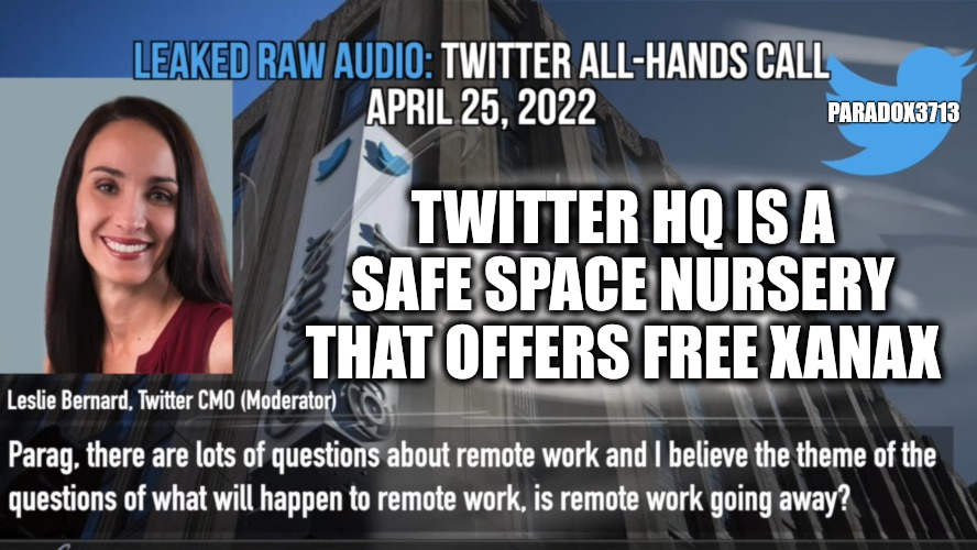 Twitter leaked audio is cringe personified. | TWITTER HQ IS A SAFE SPACE NURSERY THAT OFFERS FREE XANAX; PARADOX3713 | image tagged in memes,elon musk,twitter,safe space,snowflakes,politics | made w/ Imgflip meme maker