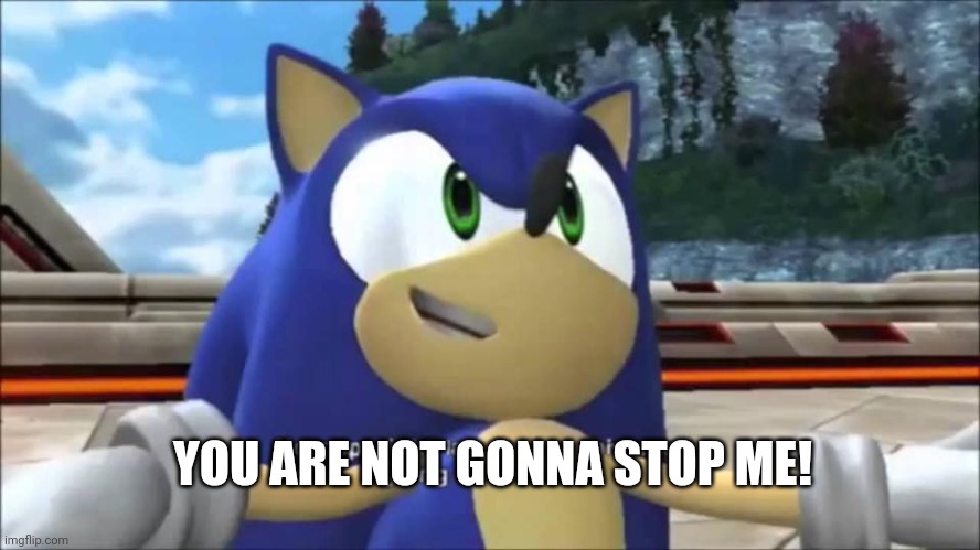 No Copyright Law | YOU ARE NOT GONNA STOP ME! | image tagged in no copyright law | made w/ Imgflip meme maker