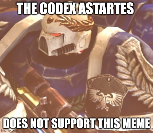 What? | THE CODEX ASTARTES DOES NOT SUPPORT THIS MEME | image tagged in what | made w/ Imgflip meme maker