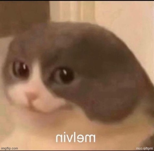 nivlem | made w/ Imgflip meme maker