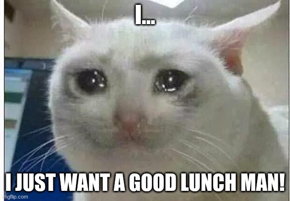 I... I JUST WANT A GOOD LUNCH MAN! | image tagged in crying cat | made w/ Imgflip meme maker