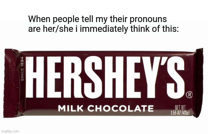 Hershe's ? | When people tell my their pronouns are her/she i immediately think of this: | image tagged in don't read the tags,why are you reading them,stop reading these,i told you to stop,why must you hurt me in this way | made w/ Imgflip meme maker