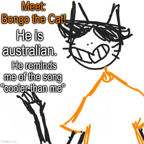 yaya | Meet: Bongo the Cat! He is australian. He reminds me of the song "cooler than me" | image tagged in blank white but bigger | made w/ Imgflip meme maker