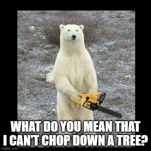 Chainsaw Bear | WHAT DO YOU MEAN THAT I CAN'T CHOP DOWN A TREE? | image tagged in memes,chainsaw bear | made w/ Imgflip meme maker