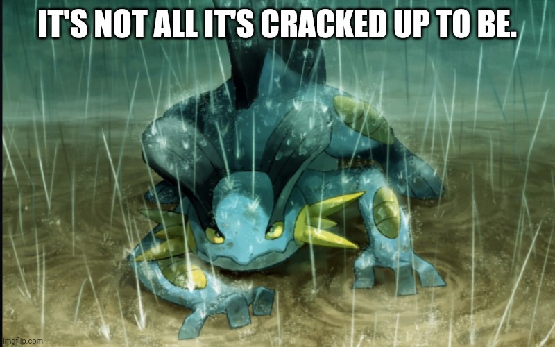 The Best Swampert 999 | IT'S NOT ALL IT'S CRACKED UP TO BE. | image tagged in the best swampert 999 | made w/ Imgflip meme maker