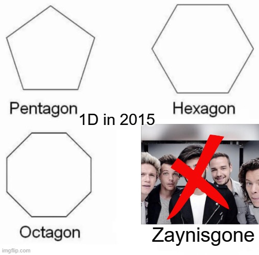 Zayn in 2015 | 1D in 2015; Zaynisgone | image tagged in memes,pentagon hexagon octagon,one direction | made w/ Imgflip meme maker