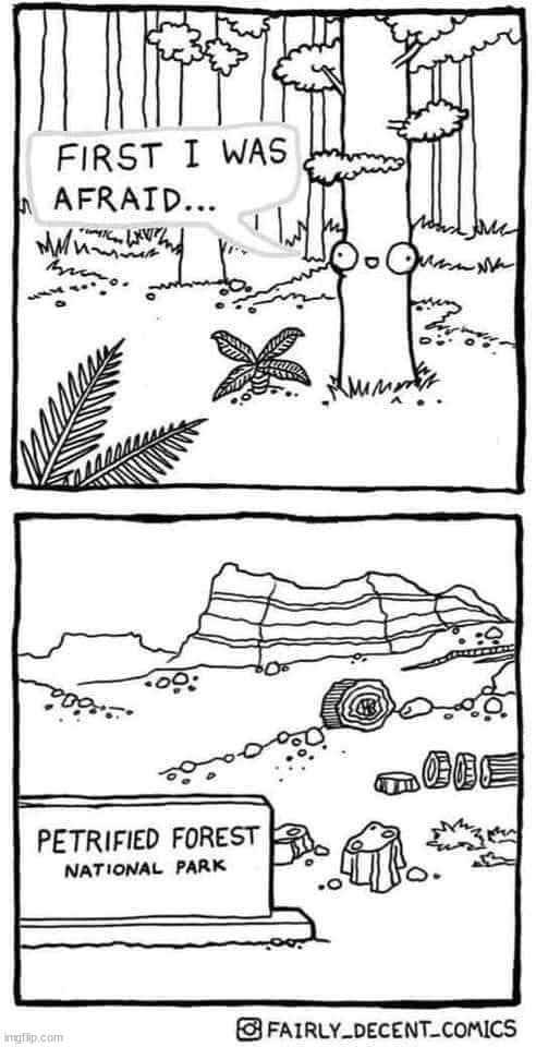 image tagged in comics/cartoons | made w/ Imgflip meme maker