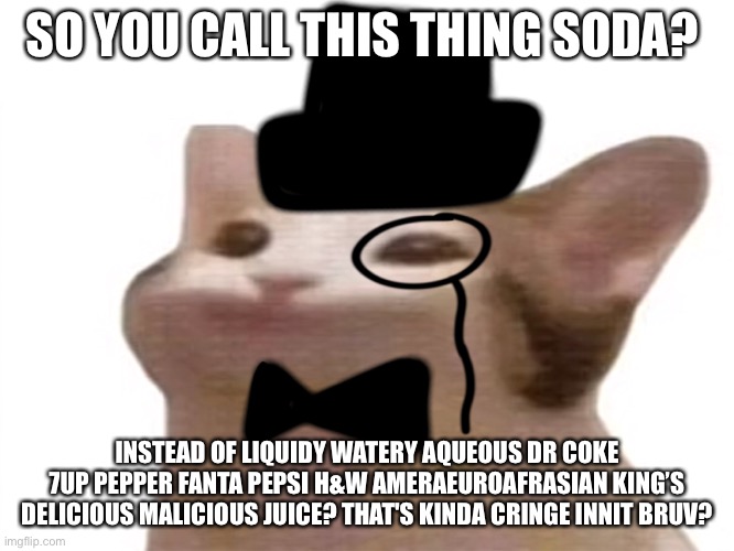 SO YOU CALL THIS THING SODA? INSTEAD OF LIQUIDY WATERY AQUEOUS DR COKE 7UP PEPPER FANTA PEPSI H&W AMERAEUROAFRASIAN KING’S DELICIOUS MALICIOUS JUICE? THAT'S KINDA CRINGE INNIT BRUV? | image tagged in BritishMemes | made w/ Imgflip meme maker