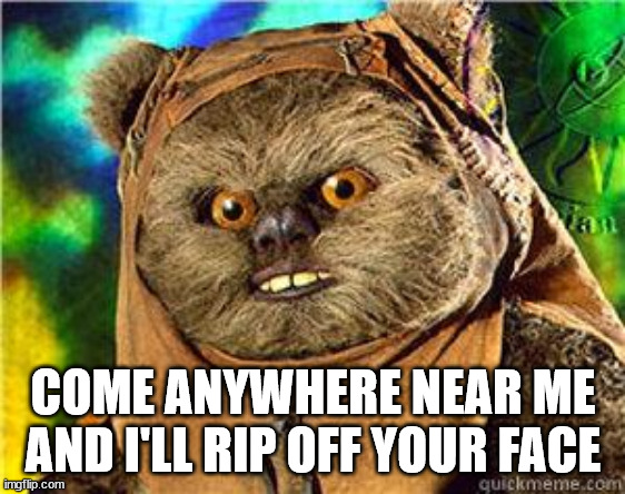 rape ewok | COME ANYWHERE NEAR ME AND I'LL RIP OFF YOUR FACE | image tagged in rape ewok | made w/ Imgflip meme maker