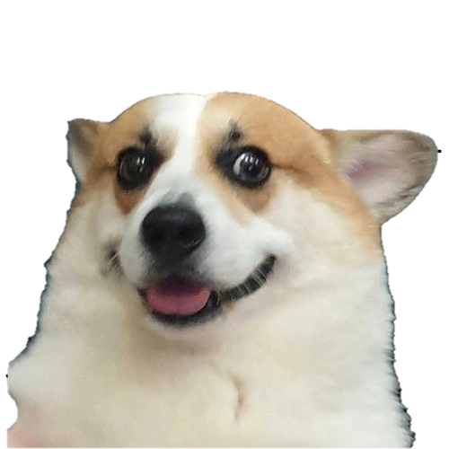 Confusidog Blank Meme Template