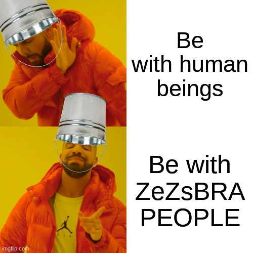 Drake Hotline Bling | Be with human beings; Be with ZeZsBRA PEOPLE | image tagged in memes,drake hotline bling | made w/ Imgflip meme maker