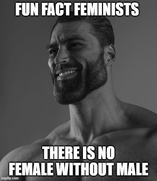 this could be controversial | FUN FACT FEMINISTS; THERE IS NO FEMALE WITHOUT MALE | image tagged in giga chad | made w/ Imgflip meme maker