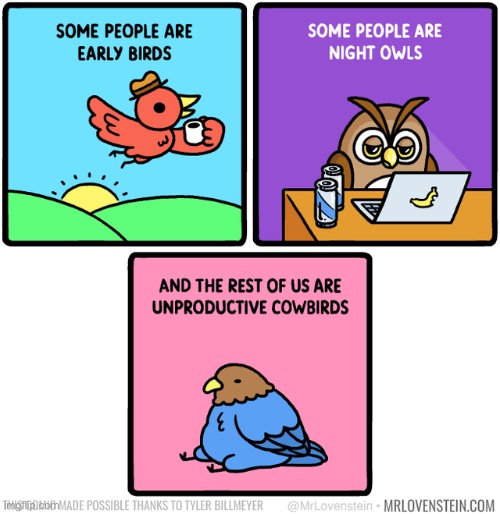 I’m probably the last one sadly | image tagged in comics,funny,memes,productivity | made w/ Imgflip meme maker