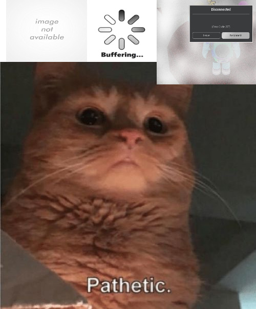 ITS A SHAME | image tagged in pathetic cat | made w/ Imgflip meme maker