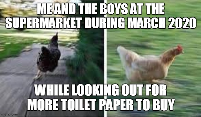 Headless Chicken Mode | ME AND THE BOYS AT THE SUPERMARKET DURING MARCH 2020; WHILE LOOKING OUT FOR MORE TOILET PAPER TO BUY | image tagged in running chicken,memes,funny,funny memes,repost,reposts | made w/ Imgflip meme maker