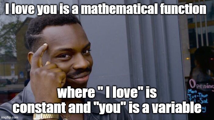 Roll Safe Think About It | I love you is a mathematical function; where " I love" is constant and "you" is a variable | image tagged in memes,roll safe think about it | made w/ Imgflip meme maker