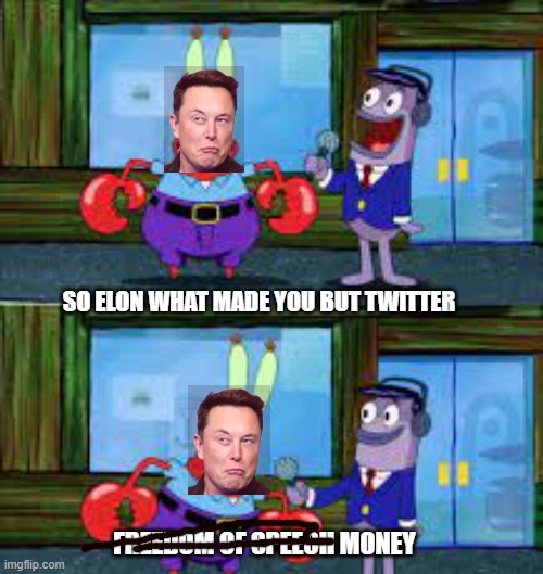 Elon money | SO ELON WHAT MADE YOU BUT TWITTER; FREEDOM OF SPEECH MONEY | image tagged in elon musk | made w/ Imgflip meme maker