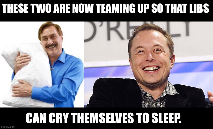 The best sleep… | THESE TWO ARE NOW TEAMING UP SO THAT LIBS; CAN CRY THEMSELVES TO SLEEP. | image tagged in my pillow guy,elon musk | made w/ Imgflip meme maker