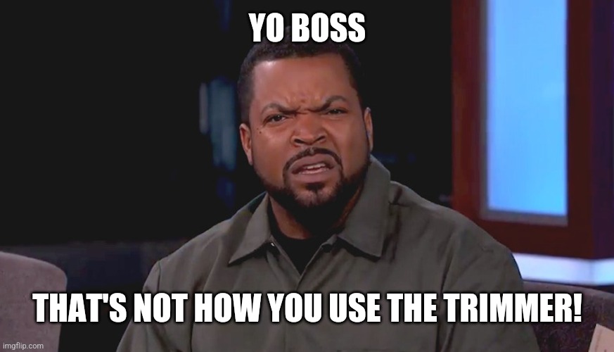 Really? Ice Cube | YO BOSS THAT'S NOT HOW YOU USE THE TRIMMER! | image tagged in really ice cube | made w/ Imgflip meme maker