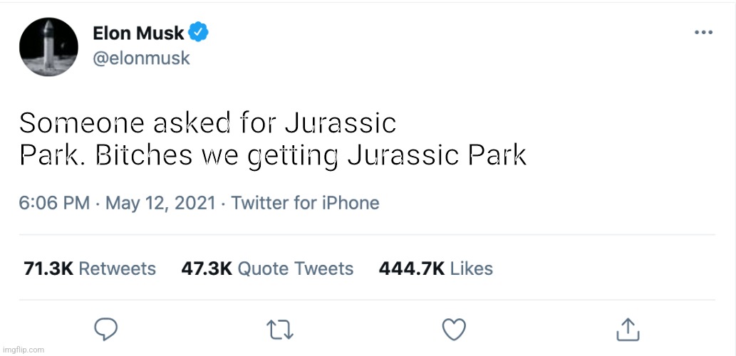 Elon Musk Blank Tweet | Someone asked for Jurassic Park. Bitches we getting Jurassic Park | image tagged in elon musk blank tweet | made w/ Imgflip meme maker
