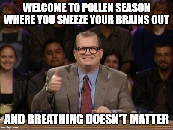 Everyone Must Be Dying... | WELCOME TO POLLEN SEASON WHERE YOU SNEEZE YOUR BRAINS OUT; AND BREATHING DOESN'T MATTER | image tagged in and the points don't matter | made w/ Imgflip meme maker