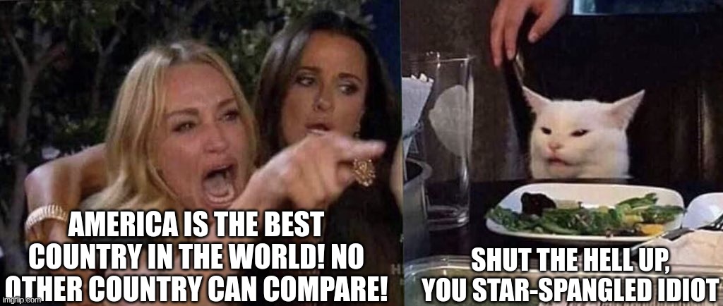 woman yelling at cat | AMERICA IS THE BEST COUNTRY IN THE WORLD! NO OTHER COUNTRY CAN COMPARE! SHUT THE HELL UP, YOU STAR-SPANGLED IDIOT | image tagged in woman yelling at cat,you have been eternally cursed for reading the tags | made w/ Imgflip meme maker