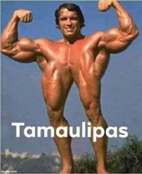 tamaulipas | image tagged in tamaulipas | made w/ Imgflip meme maker