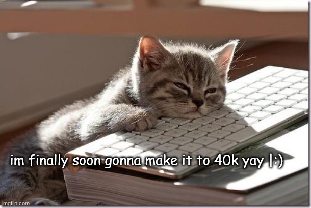 My first cats submission! :D |  im finally soon gonna make it to 40k yay |:) | image tagged in bored keyboard cat,imgflip,imgflip points,cats | made w/ Imgflip meme maker