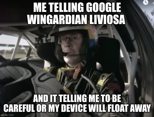 UH OH | ME TELLING GOOGLE WINGARDIAN LIVIOSA; AND IT TELLING ME TO BE CAREFUL OR MY DEVICE WILL FLOAT AWAY | image tagged in google search | made w/ Imgflip meme maker