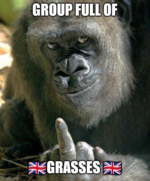 gorilla middle finger | GROUP FULL OF; 🇬🇧GRASSES 🇬🇧 | image tagged in gorilla middle finger | made w/ Imgflip meme maker