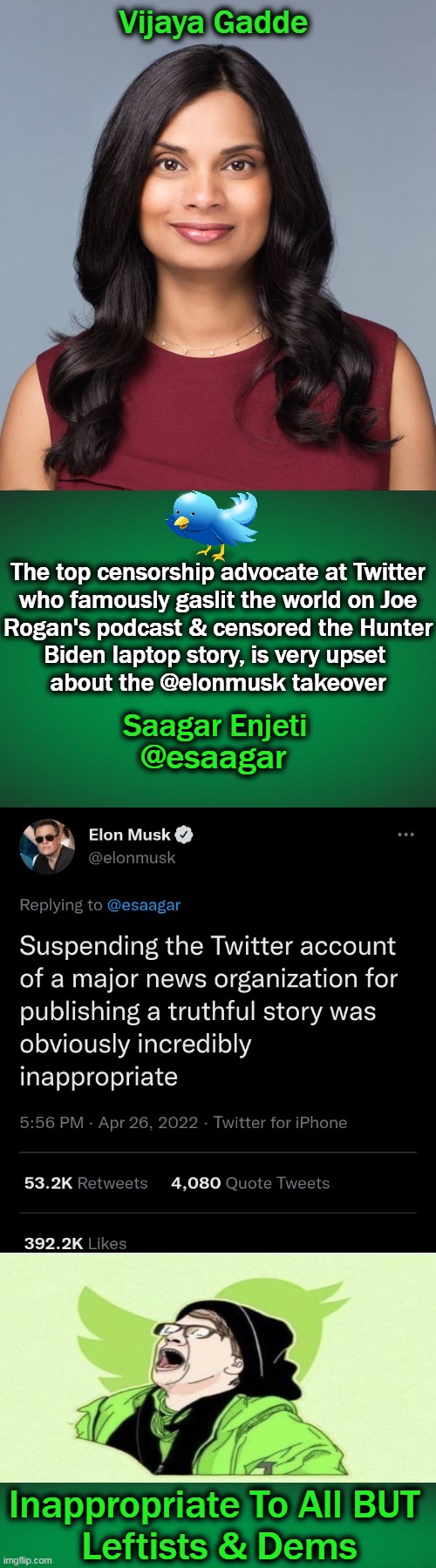 America Symbolized Freedom of Speech Until The Left Decided to Destroy BOTH. . . . | The top censorship advocate at Twitter
who famously gaslit the world on Joe
Rogan's podcast & censored the Hunter
Biden laptop story, is very upset 
about the @elonmusk takeover; Saagar Enjeti; @esaagar; Inappropriate To All BUT 
Leftists & Dems | image tagged in politics,twitter,censorship,elon musk,freedom of speech,america | made w/ Imgflip meme maker
