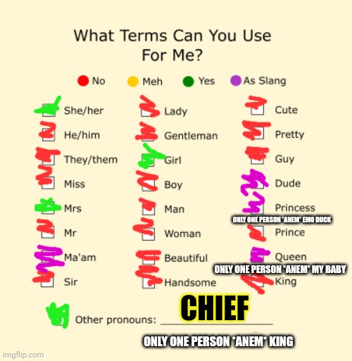 Pronouns Sheet | ONLY ONE PERSON *ANEM* EMO DUCK; ONLY ONE PERSON *ANEM* MY BABY; CHIEF; ONLY ONE PERSON *ANEM* KING | image tagged in pronouns sheet | made w/ Imgflip meme maker