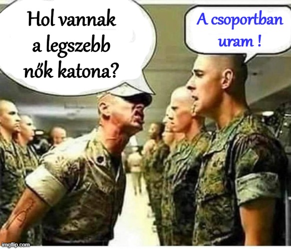 Hol vannak a legszebb nők katona? A csoportban uram ! | made w/ Imgflip meme maker