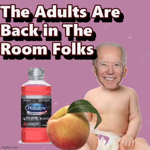 The Adults Are Back In the Room | image tagged in pedialyte,biden,impeach | made w/ Imgflip meme maker
